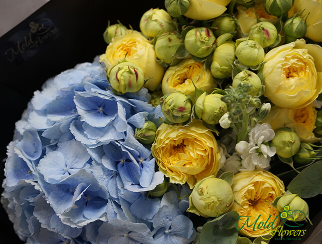 Bouquet with blue hydrangea, ''Peace'' photo